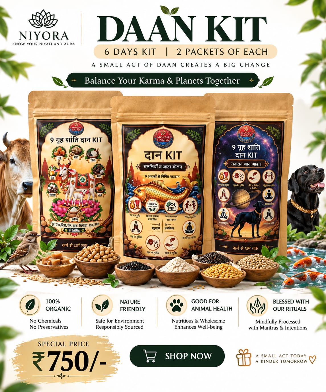 6 Days Daan Kit, 2 packets of each